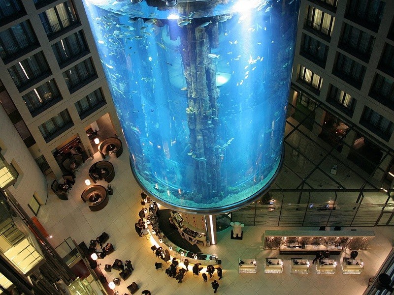10. Аквариум «Aqua Dom», Германия 10. Аквариум «Aqua Dom», Германия история, лифт, мир, необычно, путешествия, факты