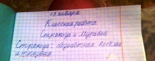Фото из источника prikol.ru