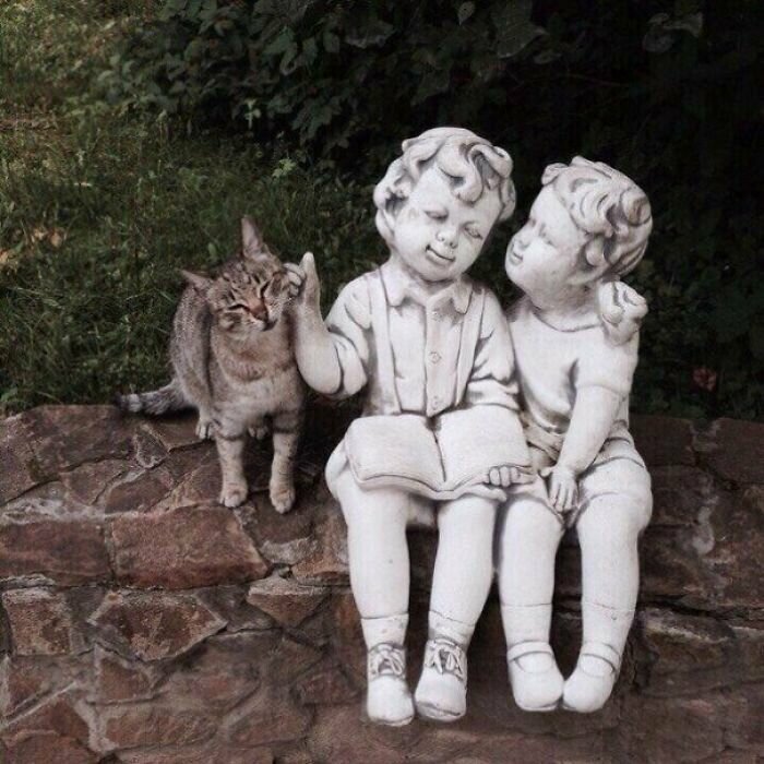 Котики, которые так и притягивают внимание к себе Котики, которые так и притягивают внимание к себе