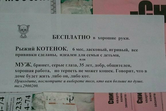Муж накосячил Уморительные объявления, до которых кто-то же додумался
(18 фото)