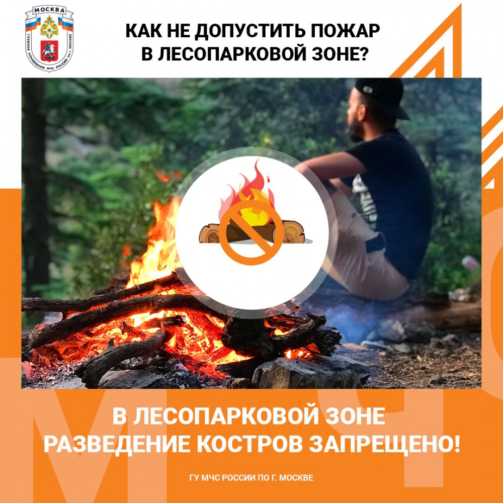 Лесные пожары возникают чаще всего из-за небрежного обращения с огнем — МЧС