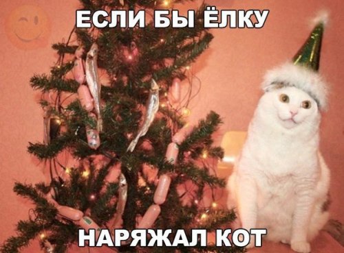 Новые анекдоты на любой вкус