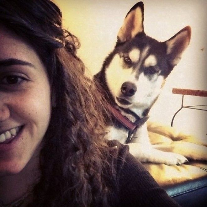 Funny Dog Photobombs Funny Dog Photobombs