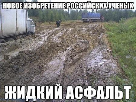 Итак…. в одном лесу Итак…. в одном лесу