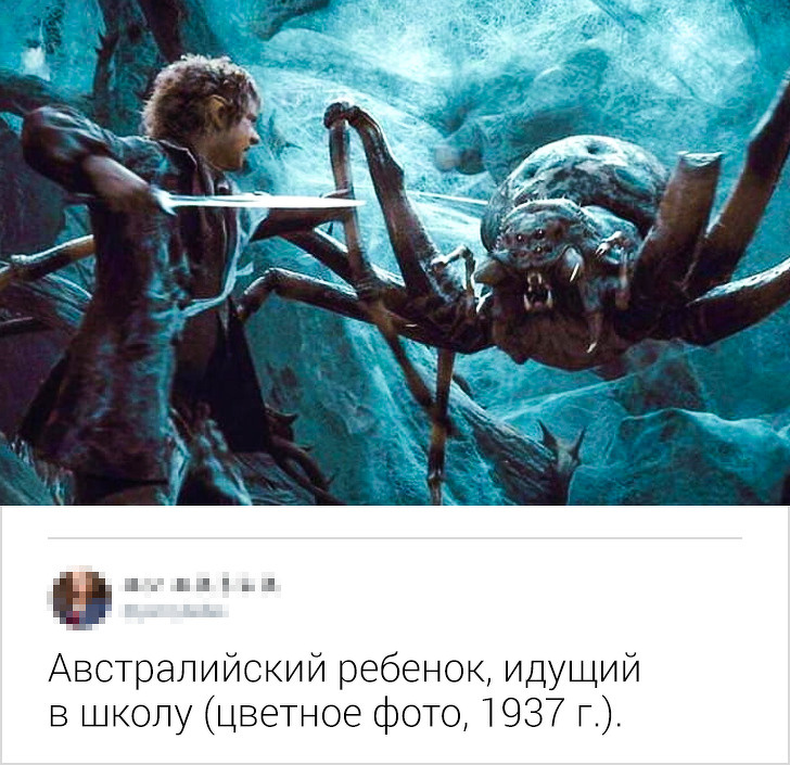 17 точных комментариев от пользователей с развитым чувством юмора 17 точных комментариев от пользователей с развитым чувством юмора