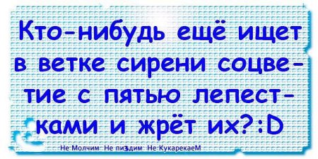 Прикольные цитаты в картинках. Правдивы до безобразия.