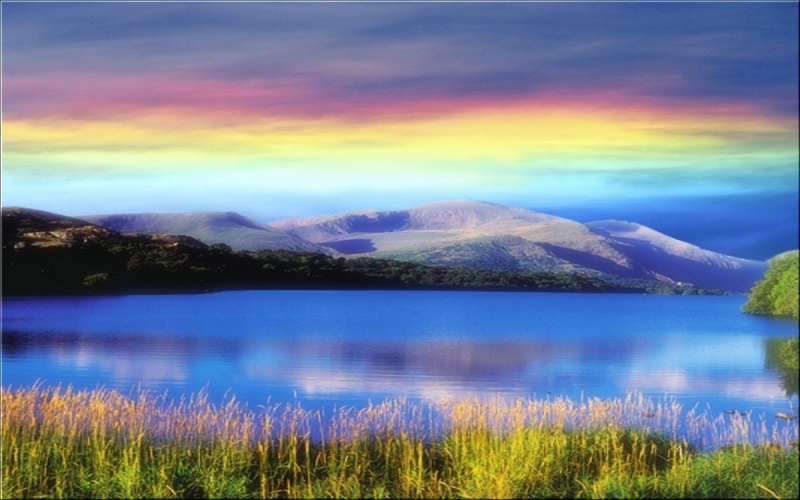 Природа России 6 Природа России 6