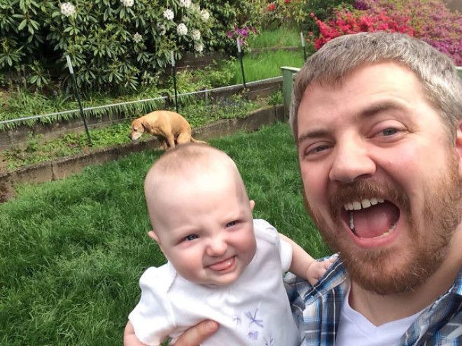 Funny Dog Photobombs Funny Dog Photobombs