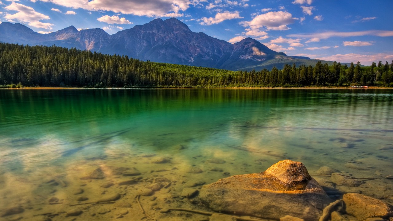 Природа России 6 Природа России 6
