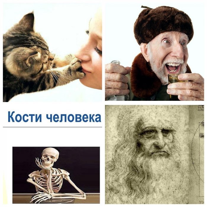 Диковинные знания и факты, которые позабавят вас, но вряд ли пригодятся Диковинные знания и факты, которые позабавят вас, но вряд ли пригодятся