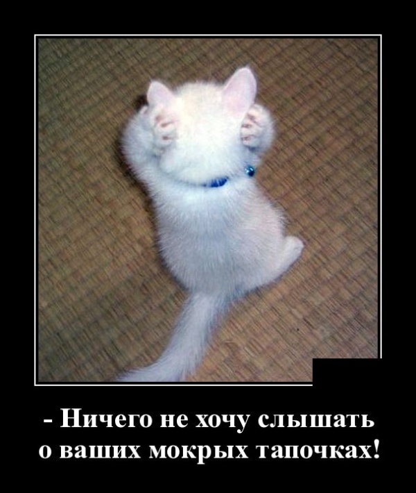 Забавные и умные демотиваторы. 555 ( 30 фото )><br> <br> <br> <img alt= Забавные и умные демотиваторы. 555 ( 30 фото )