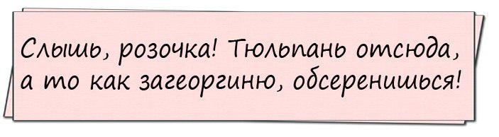 На уроке истории. Учительница спрашивает ученика... На уроке истории. Учительница спрашивает ученика...
