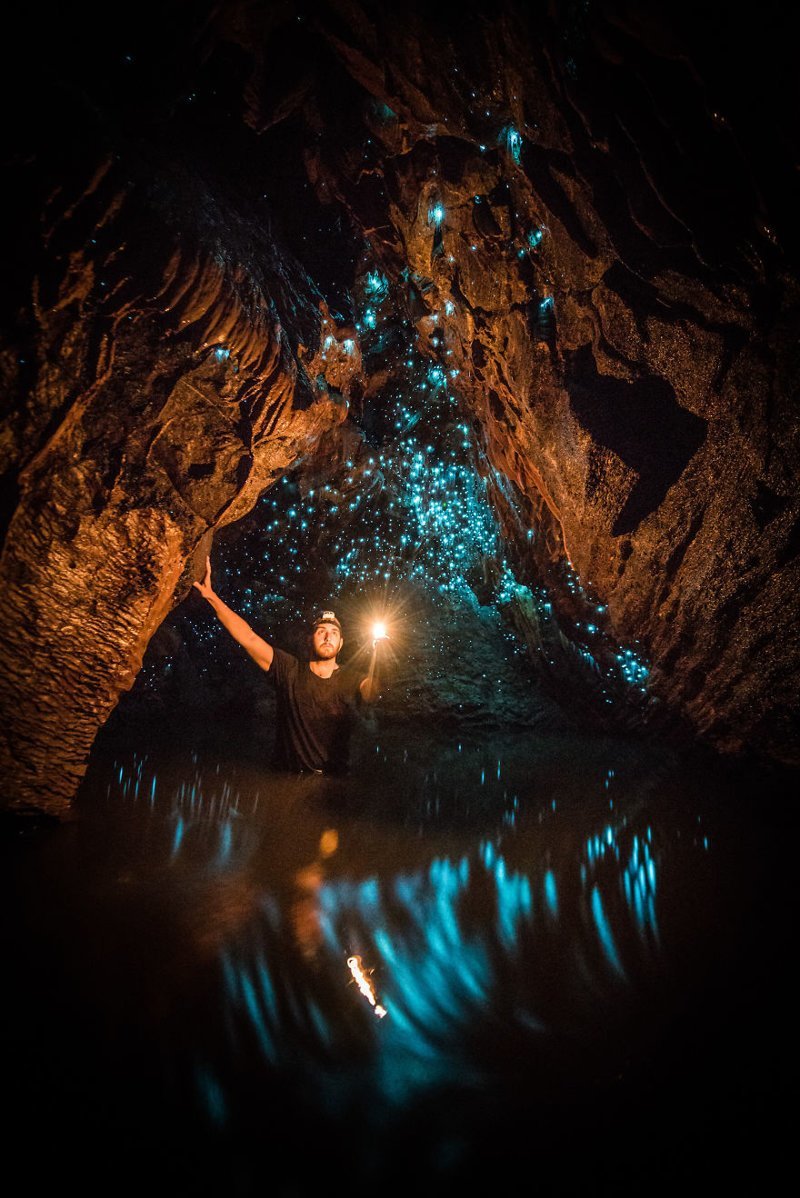 Фотограф Шон Джефферс вайтомо, новая зеландия, пещера, путешествие, светлячок, свечение, фотограф