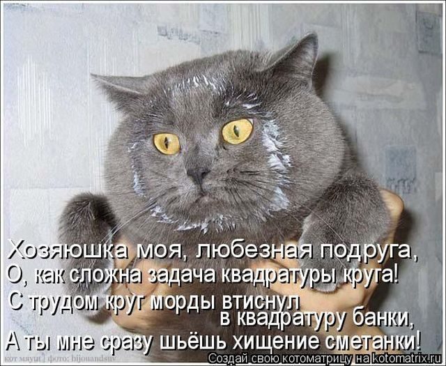 Котоматрицы для подзарядки позитивом))) Котоматрицы для подзарядки позитивом)))