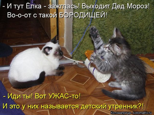 Котоматрицы великолепные, каждая с кусочком тепла, позитива и улыбкой!!! Всем добрых событий сегодня!!! Котоматрицы великолепные, каждая с кусочком тепла, позитива и улыбкой!!! Всем добрых событий сегодня!!!