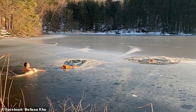 Тимофей Юрьев - житель Нью-Йорка спас двух собак из ледяной воды Тимофей Юрьев - житель Нью-Йорка спас двух собак из ледяной воды