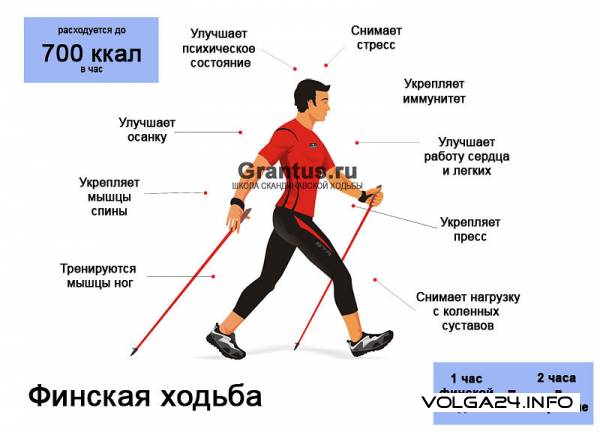 Лыжи стерлись? Или что вы хотели узнать о скандинавской ходьбе, но стеснялись спросить