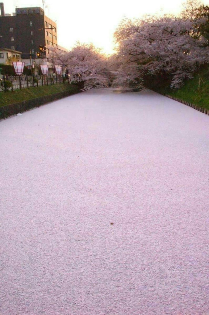 Снимки, которые без фотошопа, обращают на себя внимание Снимки, которые без фотошопа, обращают на себя внимание