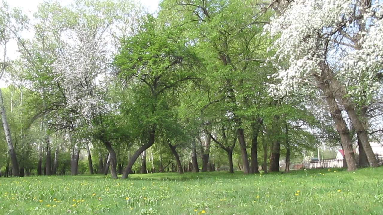 Природа России, ч.2 Природа России, ч.2