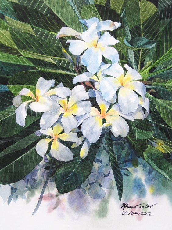 Flowers painting: 