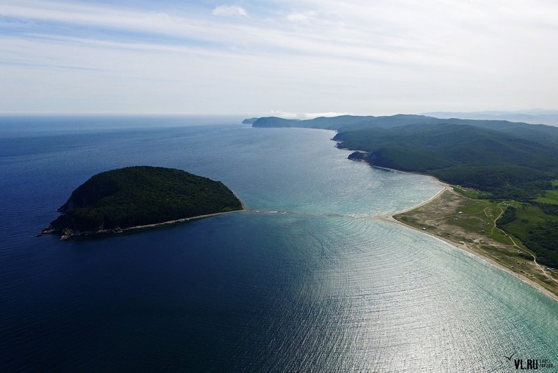 Приморский край- остров Петрова, Тисовая роща Приморский край, Тисовая роща, остров Петрова, россия