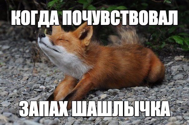 Позитивные картинки с надписью для настроения (12 фото) Позитивные картинки с надписью для настроения (12 фото)