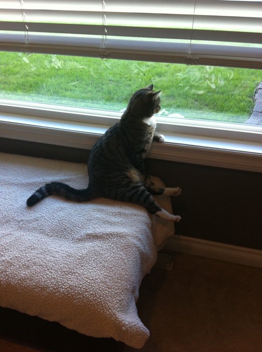 Давайте улыбаться вместе!