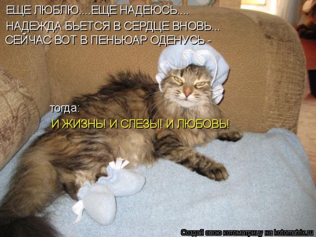 Котоматрицы великолепные, каждая с кусочком тепла, позитива и улыбкой!!! Всем добрых событий сегодня!!! Котоматрицы великолепные, каждая с кусочком тепла, позитива и улыбкой!!! Всем добрых событий сегодня!!!
