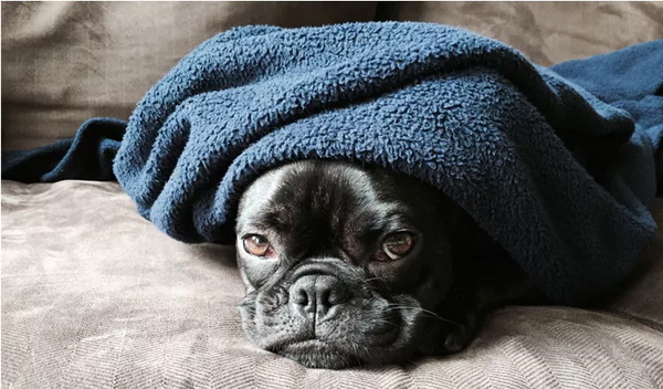 И за что они нас так любят?