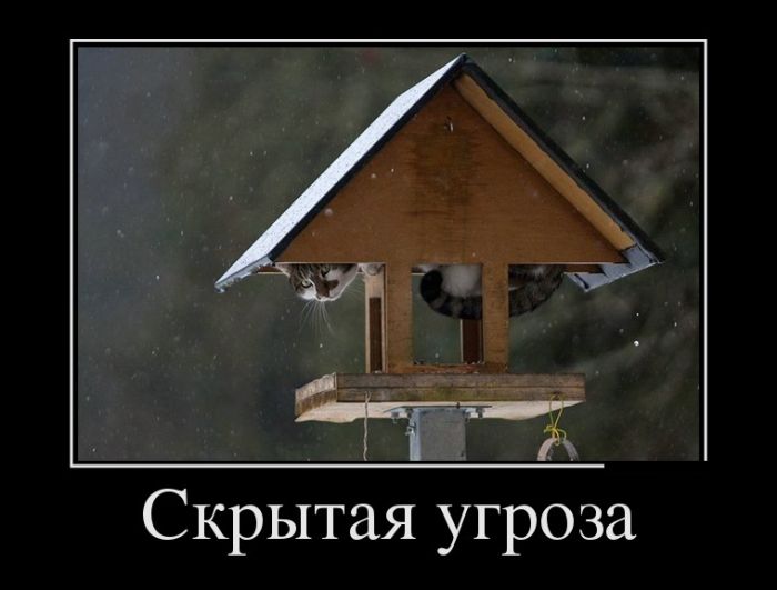 Демотиваторы от 18.04.2017 (30 фото) Демотиваторы от 18.04.2017 (30 фото)