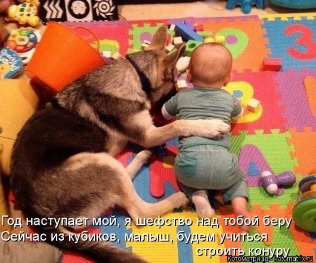 Котоматрицы для подзарядки позитивом))) Котоматрицы для подзарядки позитивом)))