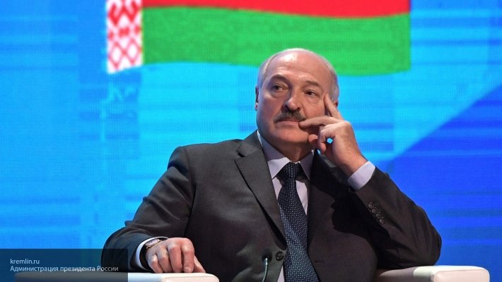 «Правый сектор»* предложил Лукашенко военную помощь в борьбе против РФ