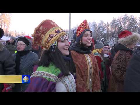 Во Фряново срубили главную ель страны