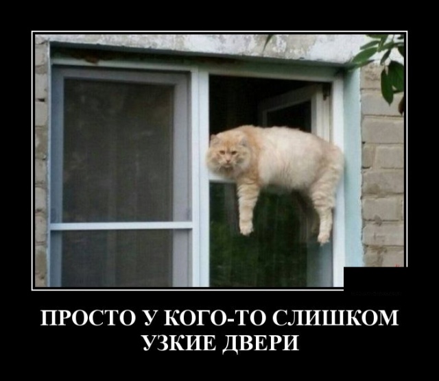 Забавные и умные демотиваторы. 555 ( 30 фото ) Забавные и умные демотиваторы. 555 ( 30 фото )
