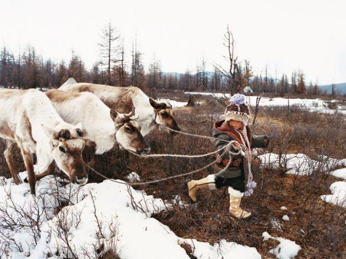 Исчезающие народы России Исчезающие народы России