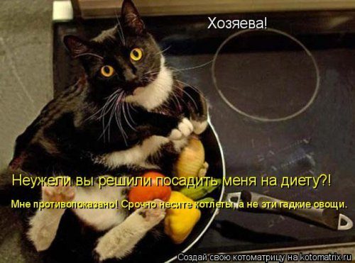 Самая убойная котоматрица Самая убойная котоматрица
