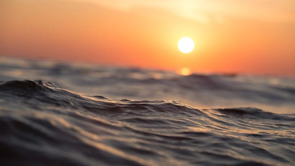 Черное море становится «мутной кашей»: неутешительные выводы ученых