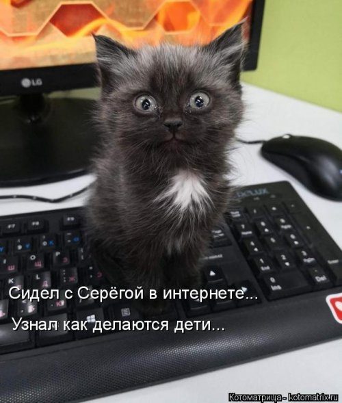 Самая убойная котоматрица Самая убойная котоматрица