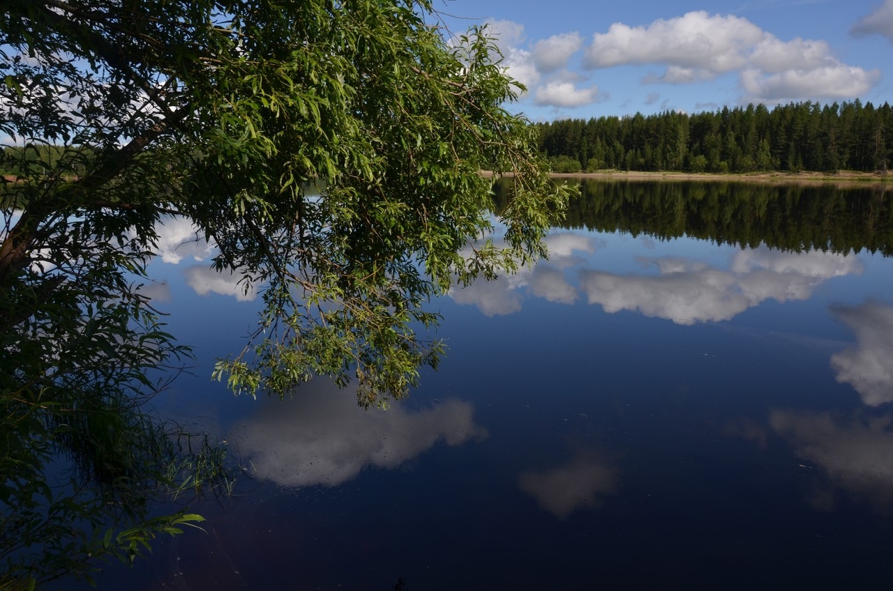 Природа России 35