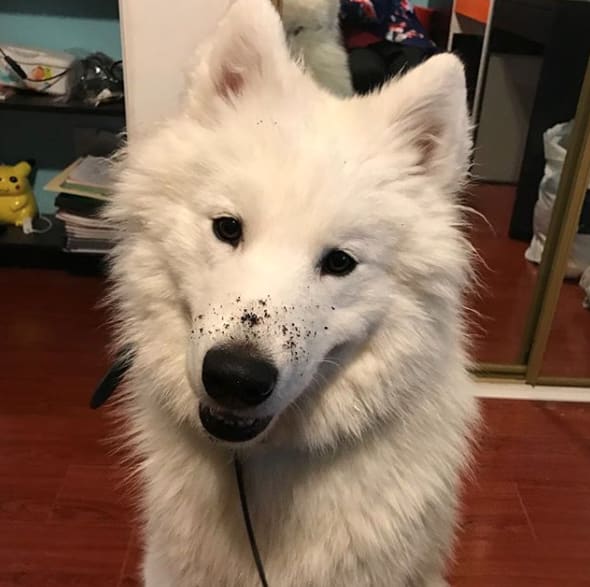 "Я не причем, честно!")) "Я не причем, честно!"))