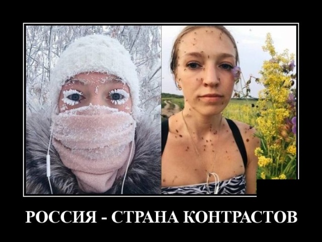 Забавные и умные демотиваторы. 555 ( 30 фото ) Забавные и умные демотиваторы. 555 ( 30 фото )