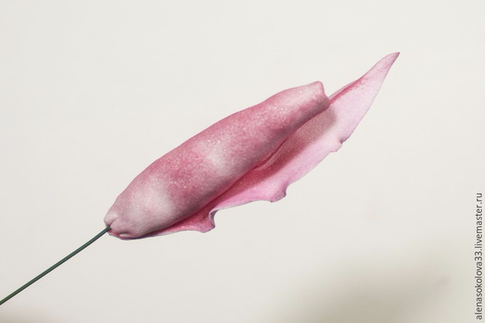 ЛИЛИЯ ИЗ ФОАМИРАНА. Обсуждение на LiveInternet - Российский Сервис ...