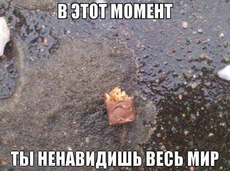 Итак…. в одном лесу Итак…. в одном лесу