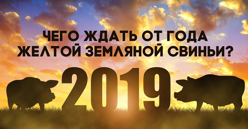 Что нам обещает год желтой земляной свиньи Что нам обещает год желтой земляной свиньи