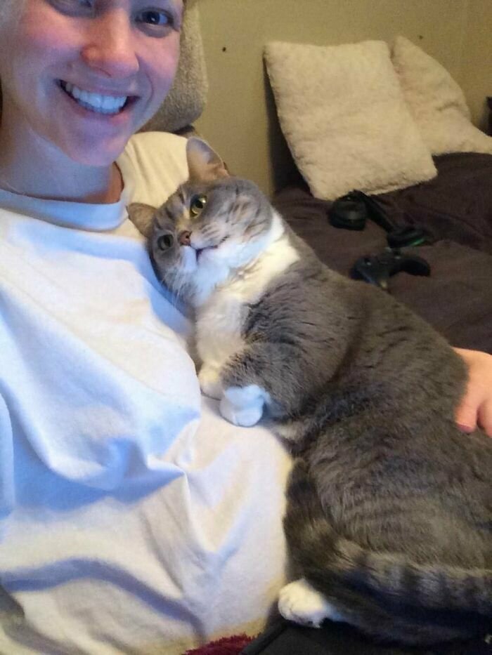 Котики, которые так и притягивают внимание к себе Котики, которые так и притягивают внимание к себе