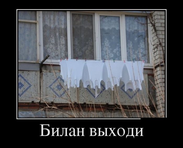 Новые народные перлы
