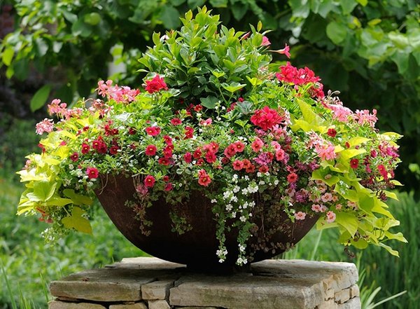 Фото: Todd Haiman Landscape Design Inc.