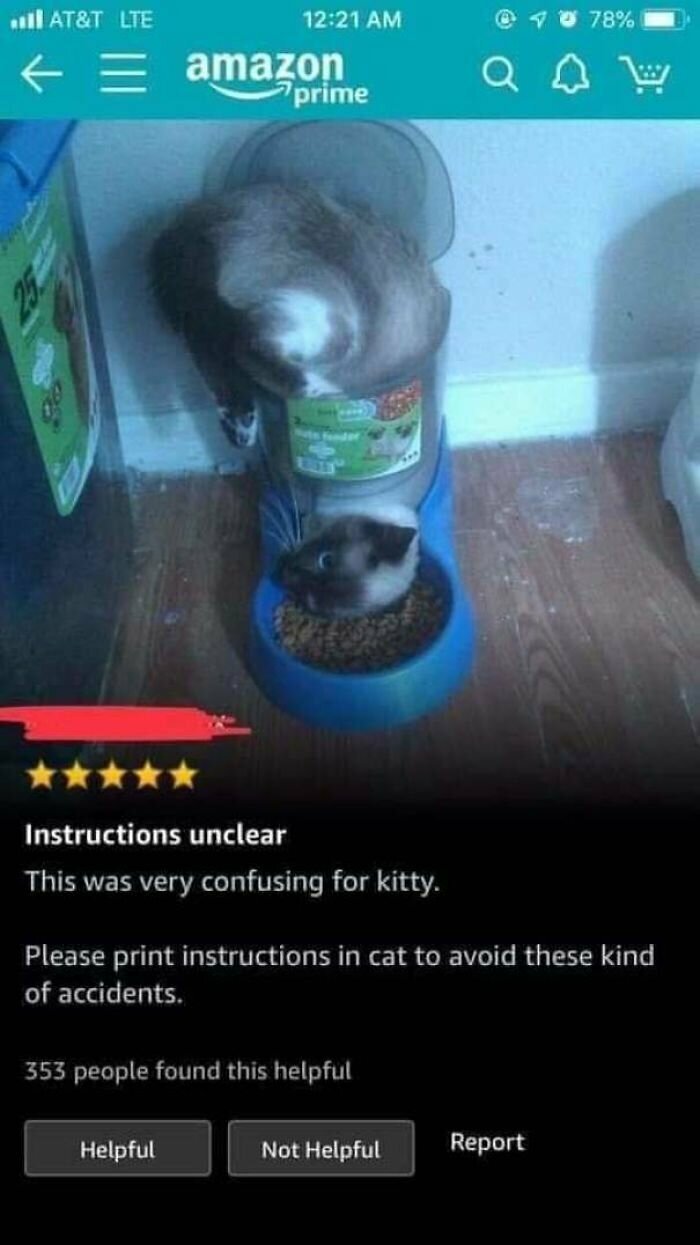Котики, которые так и притягивают внимание к себе Котики, которые так и притягивают внимание к себе