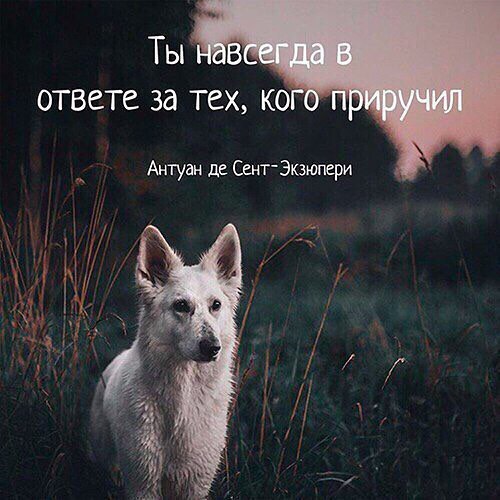 Древняя индейская легенда Древняя индейская легенда