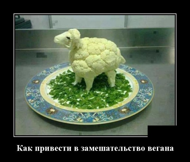 Забавные и умные демотиваторы. 555 ( 30 фото ) Забавные и умные демотиваторы. 555 ( 30 фото )